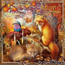 Fox In Autumn Rain Autumn Rain Rain Art Rain Pictures