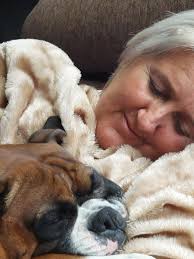 Boxers are the best family dogs