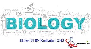 100 contoh soal ujian tulis perangkat desa 2021 dan kunci jawaban pdf, download Contoh Soal Ujian Akhir Sekolah Biologi Pilihan Ganda Dan Jawaban