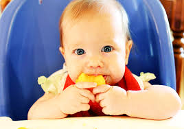 bottega veneta ceo online