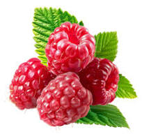 ラズベリーの葉イラストフリー素材透過、PNG画像、ベクトル、PSD ...