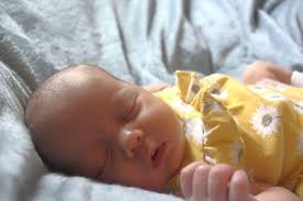 The Dispatch May 2022 by OneWatco