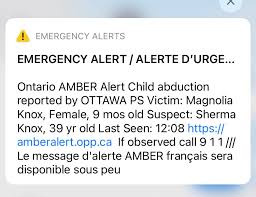 Il s'agit d'une enfant autochtone qui a des cheveux courts noirs et avait une sonde d'alimentation attachée au nez. Caryn Lieberman On Twitter Amberalert