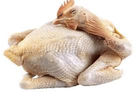 Usaha ternak ayam potong daging ayam merupakan daging favorit di negara kita. Manfaat Mengonsumsi Daging Ayam Potong Kampung Kirim Ayam