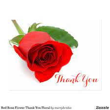 Hol sie dir jetzt, bevor es zu spät ist! Red Rose Flower Thank You Floral Postcard Zazzle Com Red Rose Flower Red Roses Rose Flower