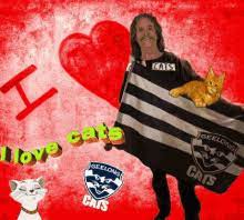 Discuss the club, players match postpost match thread: Geelong Cats Go Cats Gif Geelong Cats Cats Geelong Discover Share Gifs