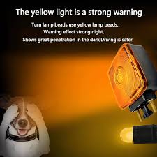 Image result for Tan 2002 Topkick