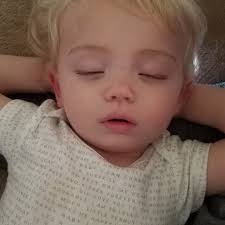 Dove hunting fields near Fort Loudoun?