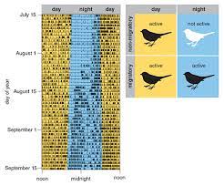 View avian migration research papers on academia.edu for free. Avian Migration The Ultimate Red Eye Flight American Scientist