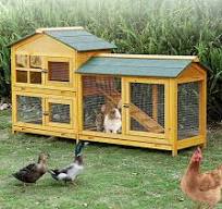 Amazon.com: Jaula para gatos, jaula para conejos, jaula para ...