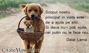 Scapati de obiceiurile rele acum astfel incat sa nu trebuiasca sa le luati cu voi in planul interior cand veti trece in lumea spiritelor. Scopul Nostru Principal In Viata Este De A Ajuta Pe Altii Si Daca Nu I Poti Ajuta Cel Putin Nu Le Face Rau Citate Maxime