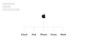 Founded in 2009, evviva brand's team. Types Of Brand Architecture Ignyte Branding Agency Brand Architecture Apple Brand Architecture