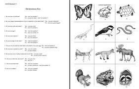 Dichotomous Key Worksheets For Middle School Dichotomous Key Life Science Activities Middle School Science