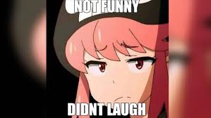 Someone saying something funny on twitter/tumblr/reddit/etc. Not Funny Didn T Laugh Image Gallery List View Know Your Meme