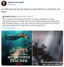Watch my octopus teacher (2020) : My Octopus Teacher On Netflix Is Tentacle Erotica Funny Gallery