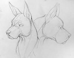 Malin Falch Arts Gesture Drawings And Studies From My Animal Animal Drawings Animal Sketches Art