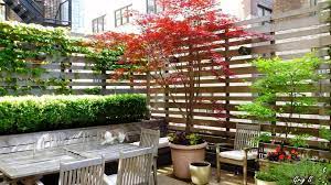 Climbing Plants On Balconies Patios And Decks Screening And Greening Privacy Screen Outdoor Privacy Screen Plants Outdoor Privacy