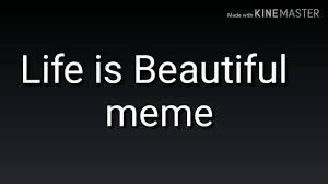 Life Is Beautiful Meme Youtube