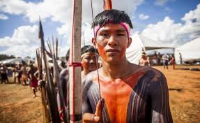 Povos indígenas no brasil) comprise a large number of distinct ethnic groups, who have inhabited the country prior to the european. Brazil Increase In Land Killings As Political Crisis Threatens Amazon