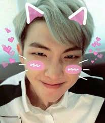 Pin By Gayan Wickramasinghe On B T S Kim Namjoon Namjoon Kim