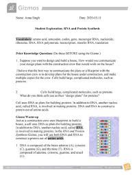Click release enzyme to release dna helicase. Building Dna Gizmo Answer Key Tommy Laurens