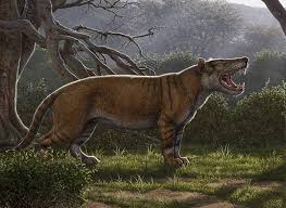 Top free images & vectors for more big cats in texas than africa in png, vector, file, black and white, logo, clipart, cartoon and transparent. Fearsome Ancient Carnivore Discovered After Fossil Lingered For Decades In Museum Drawer