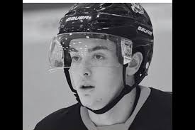 Niagara Predators shore up positions with strong league draft