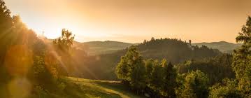 O companie din suedia a realizat un top al țărilor de pe întregul glob, iar criteriul selectat a fost nivelul de cunoaștere și vorbire a limbii engleze. 1450 Linia Verde Pentru SÄƒnÄƒtate Din Austria