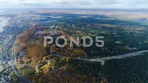 Birds Eye View Photography City Bird Eye View Forest With Logged Glades At City On Lake Bank Stock Footage Ad Forest Logged View Bird Birds Eye View Glade City