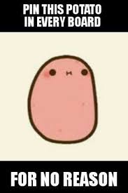 I Think This Is The Kawaii Potato Yeah Prussia Will Totally Love It Funny Memes Funny Texts Funny Quotes