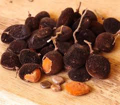 Image result for Dialium schlechteri