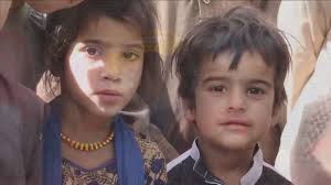 Afghanistan veterans fight to see Victoria Cross awarded to Canadian  soldier