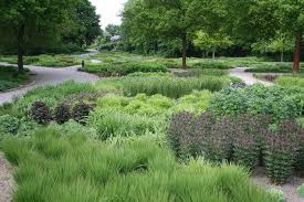 Maximilianpark Hamm Piet Oudolf 5 2015 Stauden Garten Gras