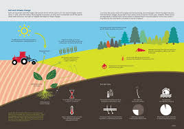 Factors affecting soil formation pdf. Soil And Climate Change European Environment Agency