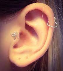 Pin On Cartilage