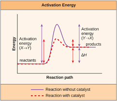 bis2a 4 2 enzyme active sites and enzyme regulation