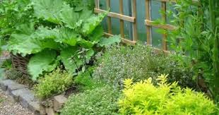 So Bepflanzen Sie Schmale Beete Effektvoll Garten Bepflanzen Vorgarten Pflanzideen