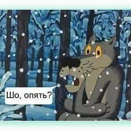 images?q=tbn:ANd9GcQOnm0EwhPHZpKfcJ-RZgd