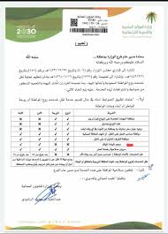 ابن سعودية Saudi Mother Twitter