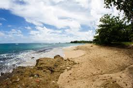 Fotos, videos, wetter, hotels, rezensionen und allgemeine empfehlungen. Dominica Strande