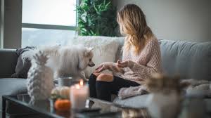 Ve bu, robot elektrikli süpürge satın al evcil hayvan kıllarının zemini temizlemenizi sağlayan belirli özelliklere sahiptir. Evcil Hayvan Sahipleri Icin Elektrikli Supurge Seciminin Onemi Uplifers