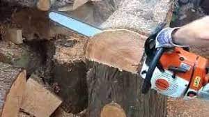 Whether you're a homeowner looking to cut branches on your property or a professional looking to fell the toughest trees, stihl is the name trusted for generations. Stihl Ms 260 Chainsaw Pro Youtube