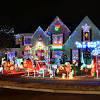 Let them know if you need them to supply the lights, how many you want to hang and other details about this project. 1