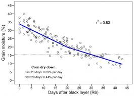 isu studies on rate of soybean and corn dry down in the