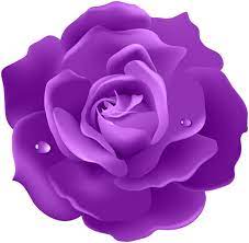 Obraz Fioletowy Rozany Png Pink Rose Png Black Roses Wallpaper Purple Roses