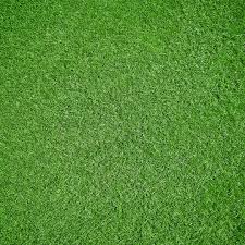 But because reducing the presence of mosquitoes on your property requires expertise with plants and other features of your landscape, trugreen has emerged as a strong competitor in this specialized area of pest control. Trugreen Services And Prices How Do They Compare Green Lawn Fertilizing
