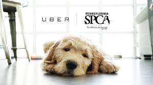 Uber said that all dogs are up for adoption in most. Latest News Stories From Around The World Uber Blog