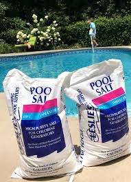 Salt Water Pool Vs Chlorine Tips From A Pool Owner Saltwater Pool Pool Liners Swimming Pool Liners