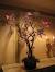 Magical Forest Enchanted Theme Party
