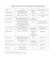 Tissues Study Guide